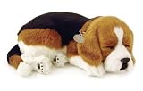 Pet Supplies : Beagle