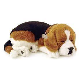 Beagle by Perfect Petzzz