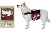 MEDIUM - RED CAMO - Excursion Dog Backpack