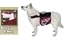 X-LARGE - RED CAMO - Excursion Dog Backpack