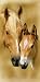 Horse Painting Beach Towel