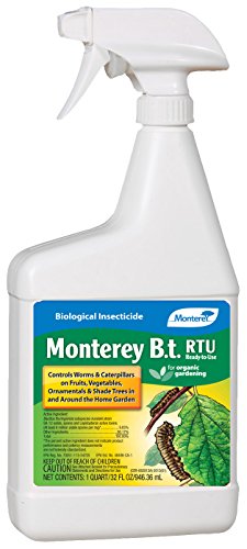 41w7Ih+OONL.jpg (225�500)