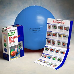 Buy Physio Exercise Ball by DGS 9.9