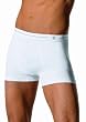 Champion Men's Double Dry Seamless Trunk