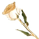 Long Stem 24k Dipped Gold Trim White Rose With Gift Box