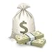 Sack and Money - 24H x 24W - Peel and Stick Wall Decal by Wallmonkeys