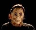 Michael Myers Rob Zombie Halloween Mask