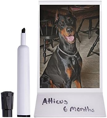 SaleSpark (6 pack) Commercial Quality 4x6 Inch Acrylic Frames/Displays