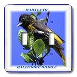 Florene State Birds - Maryland State Bird Baltimore Oriole - Light Switch Covers - double toggle switch
