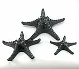 Starfish - Sandstone Art