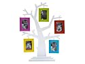 PT Photo Frame Family Tree Assorted Frames