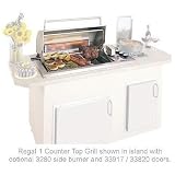 Fire Magic Gas Grills Legacy Regal I Counter Top Propane Gas Grill W One Infrared Burner