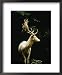 A White Fallow Stag in a Forest Framed Art Poster Print by James P. Blair, 18x22