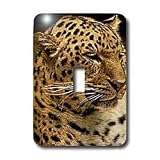 Wild animals - Leopard - Light Switch Covers - single toggle switch