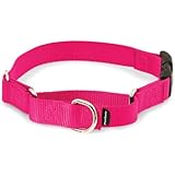 PetSafe Martingale Collar with Quick Snap Buckle, 1" Medium, Raspberry