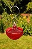 Bird Brain ~ BOUTEILLE POMME ~ Hummingbird Feeder - Red-Crackle - 10101189