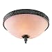 Savoy House- 6-2156-15-56 Painted Finishes Rustic / Country Exterior Ceiling Fixture ...