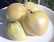 White Oxheart Tomato Plant