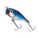 Review Rapala  / Rapala Saltwater Skitter Pop 120Mm Blue Mullet