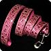 Handcrafted Fusion Rhinestone Buckle Glitter Dog Leash - Fuchsia/Gold, Large