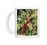 IVY - in flower with black Bryony berries Photo Mugs
