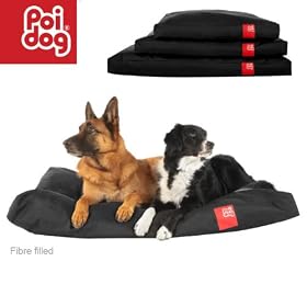 Poi Dog� XL Extra Large Dog Bed - BLACK Poly Canvas Duvet Dog Beds - Large / XL Dogs (50")