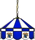 NCAA Kentucky Wildcats 16 Tiffany Style Hanging Lamp