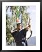Archery, Bhutan's National Sport, Paro, Bhutan,Asia Framed Art Poster Print by Angelo Cavalli, 25x31