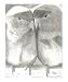 Black and White Love Birds Fine Art Drawing Animals Giclee Poster Print by Joshua Hullender, 8x10