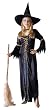 Renaissance Classic Witch Adult Costume Halloween One Size