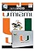 me & my BIG ideas laptopSTICKS Removable Laptop Stickers, Miami Hurricanes
