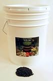 Organic Black Turtle Beans -35 Lb- Called Black Bean & Spanish Black Bean - Seed Sprouting Sprouts, Cooking, Food Storage