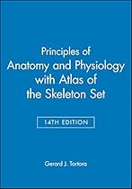 Principles of Anatomy and Physiology 14e with Atlas of the Skeleton Set Principles of Anatomy and Physiology 14e with Atlas of the Skeleton Set