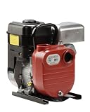 Red Lion 5RLGF-8 5.5-HP Briggs and Stratton Engine Driven 2-Inch Transfer Pump