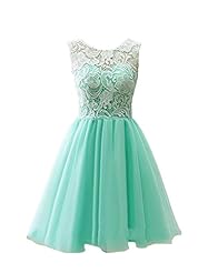 A-line Tulle Short Sheer Lace Applique Mini Dress 