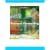 Business Forecasting with ForecastX Software/Student CD