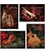 Christmas Boxed Card - Assortment Box, Song in the Air