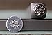 Brand New 8mm Maple Tree Metal Punch Design Stamp - Supply Guy - CH-180