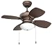 41wAAHjeRuL. SL75  Ceiling Fan Light Kit Finish: Golden Pewter