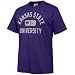 Nike Kansas State Wildcats Purple College Athletic T-shirt