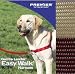 Easy Walk Harness - Large, Fawn