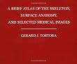 A Brief Atlas of the Skeleton, Surface Anatomy and Selected Medical Images