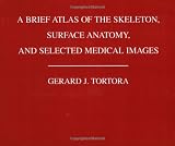 A brief atlas of the skeleton, surface anatomy, and selected medical images