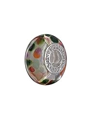 SilveRado (tm) CF12 Murano Glass Dream Weaver Bead / Charm