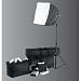 Westcott Spiderlite TD3 AC/DC XXS NiCd Continuous Output Halogen or Fluorescent Lighting Kit with Light, 400w Inverter, 14.4v NiCd Battery & Charger, 12 x 16 Softbox, Stand & Case