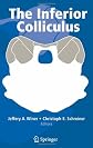 The Inferior Colliculus