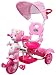 Baybee Grizzly Bear Trolly Cycle with Canopy (Pink) RS.2499.00