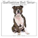 Staffordshire Bull Terrier 2012 Portrait Studio Calendar