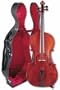 Franz Werner Maestro Cello