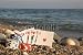 Wallmonkeys Peel and Stick Wall Decals - There's Nothing Better - a Royal Flush by the Sea - Removable Graphic
